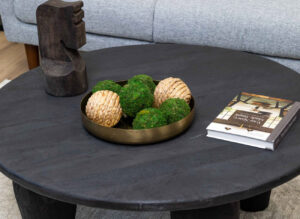 Vue Staging: Home-Our-Portfolio-1065-Park-Circle-Dr_47-scaled