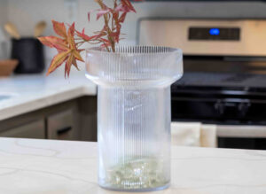 Vue Staging: Portfolio-2720-East-Walnut-Ave_56-scaled